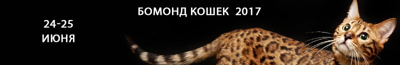 Выставка-продажа БОМОНД КОШЕК 2017