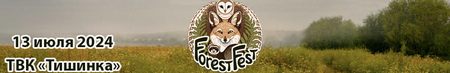 Forest fest